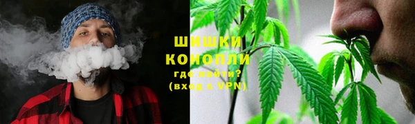 молекула духа Лабытнанги