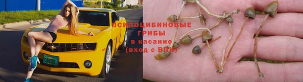 не бодяженный Навашино