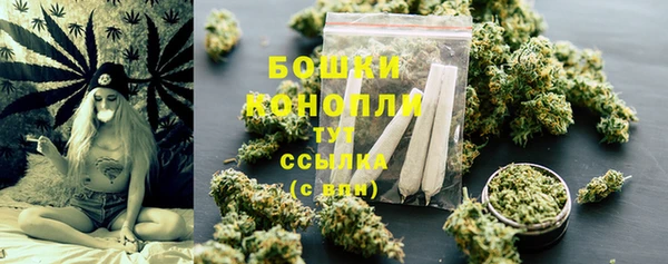 крисы Наволоки