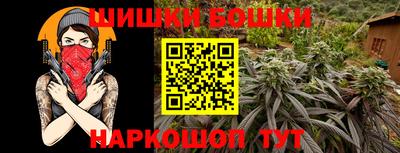 Альфа ПВП Бийск