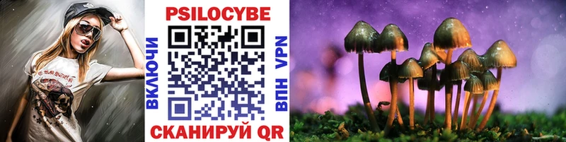 Псилоцибиновые грибы Cubensis  Кубинка 