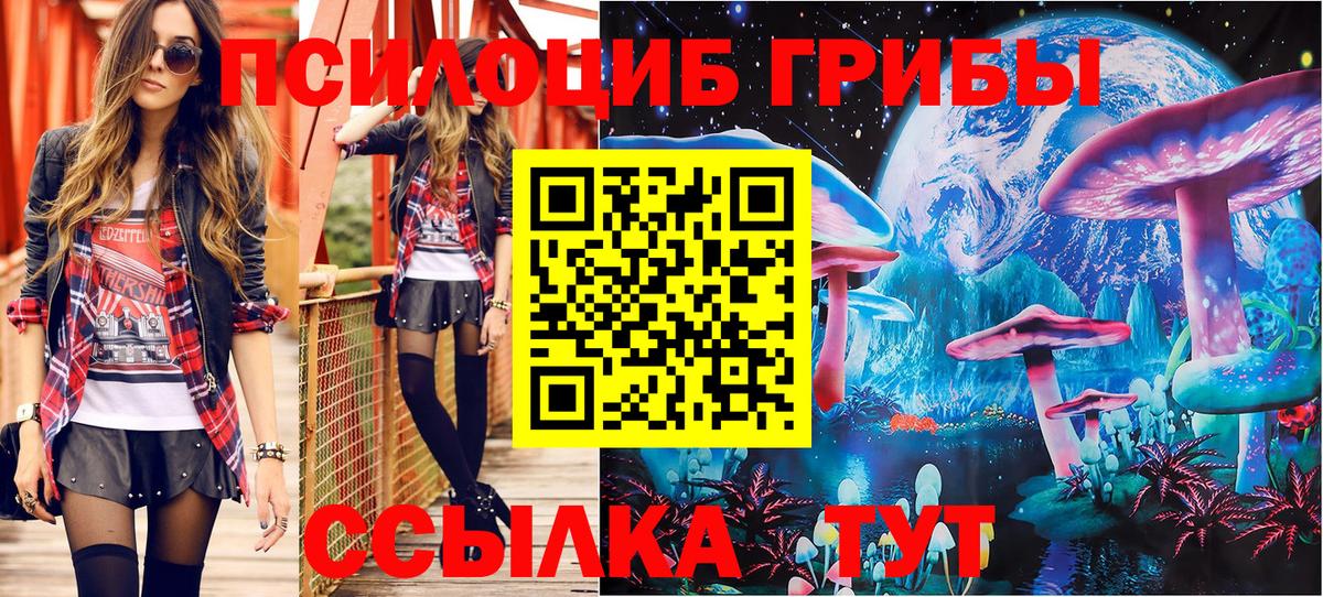 Псилоцибиновые грибы прущие грибы Кубинка