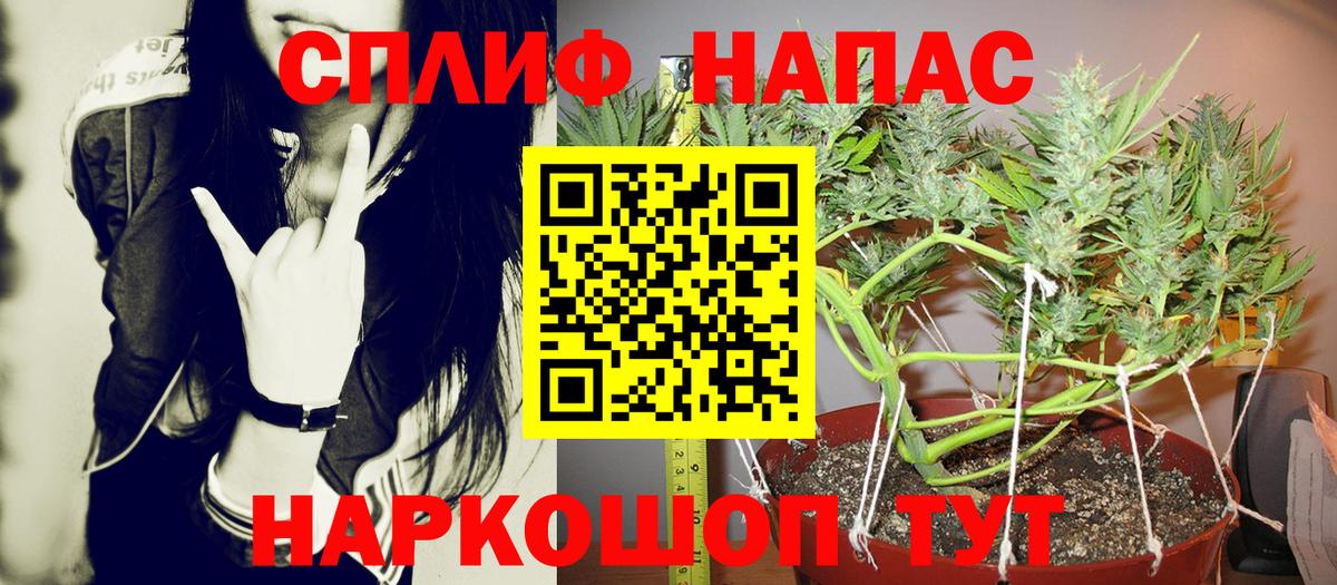 Канабис планчик Кубинка